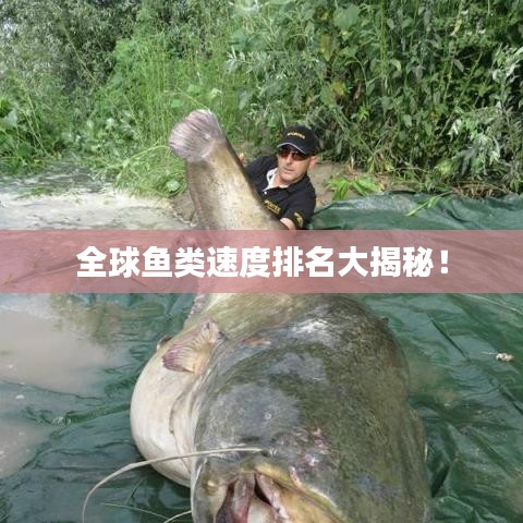 2025年6月 第21页
