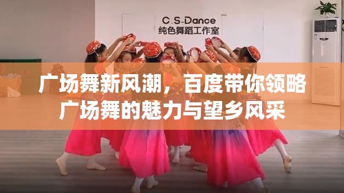 广场舞新风潮，百度带你领略广场舞的魅力与望乡风采