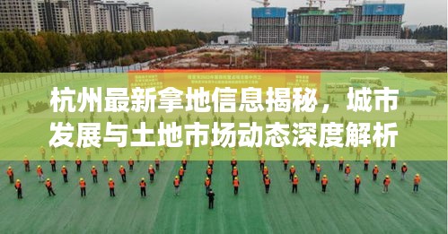 杭州最新拿地信息揭秘，城市发展与土地市场动态深度解析
