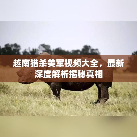 越南猎杀美军视频大全，最新深度解析揭秘真相