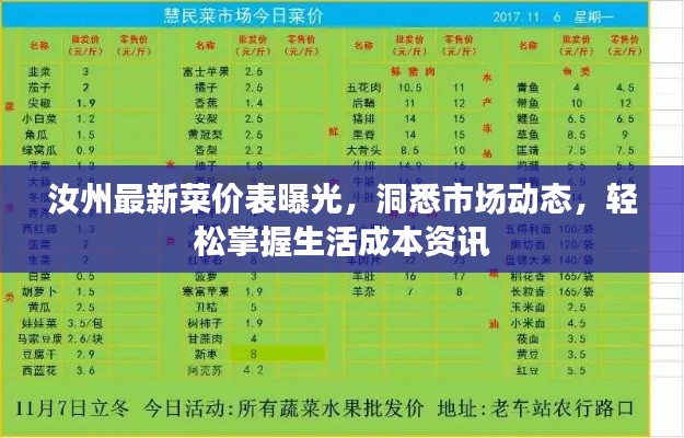 汝州最新菜价表曝光，洞悉市场动态，轻松掌握生活成本资讯
