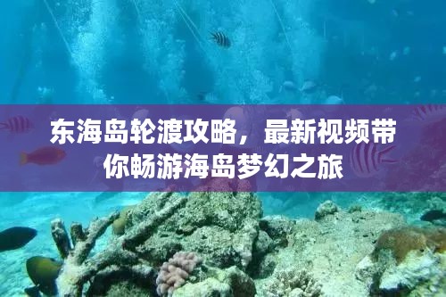 东海岛轮渡攻略，最新视频带你畅游海岛梦幻之旅