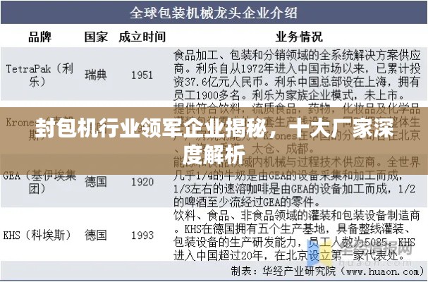 封包机行业领军企业揭秘，十大厂家深度解析