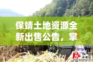 保靖土地资源全新出售公告，掌握最新动态，不容错过！