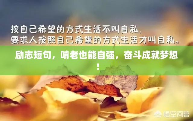 励志短句，啃老也能自强，奋斗成就梦想！