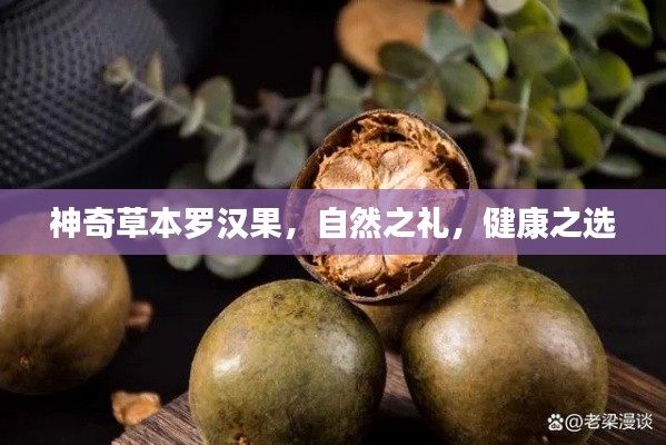 神奇草本罗汉果，自然之礼，健康之选