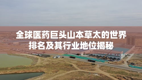 全球医药巨头山本草太的世界排名及其行业地位揭秘