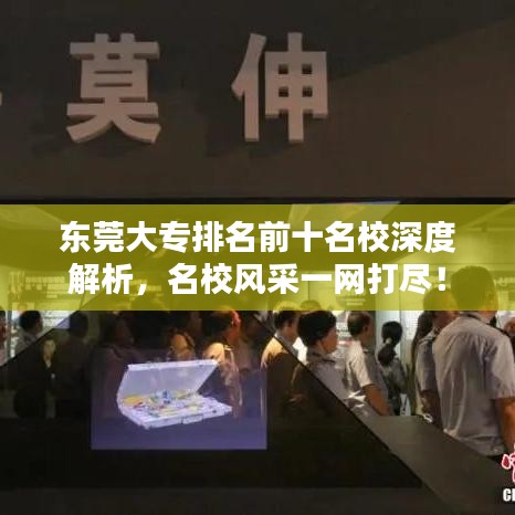 东莞大专排名前十名校深度解析，名校风采一网打尽！