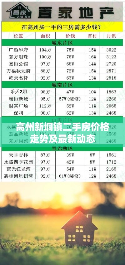 高州新垌镇二手房价格走势及最新动态