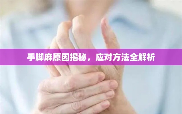 2025年6月 第11页