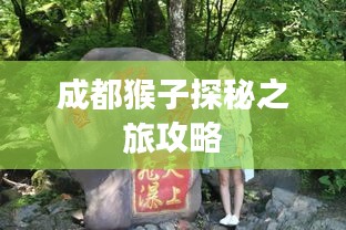 2025年6月 第9页