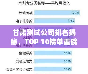 甘肃测试公司排名揭秘，TOP 10榜单重磅出炉！