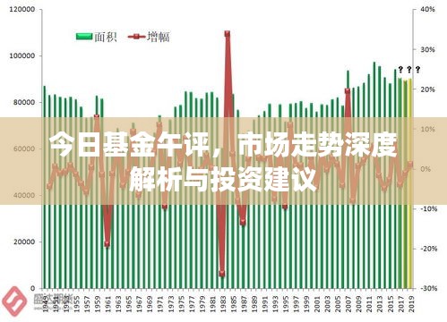 今日基金午评，市场走势深度解析与投资建议