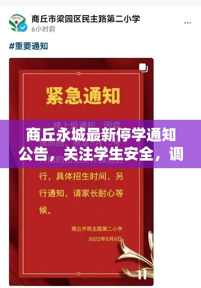 商丘永城最新停学通知公告，关注学生安全，调整教学安排