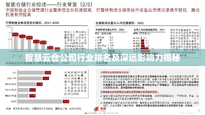 智慧云仓公司行业排名及深远影响力揭秘