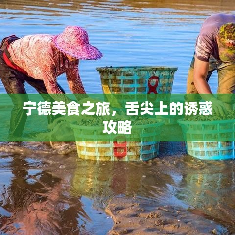 宁德美食之旅，舌尖上的诱惑攻略