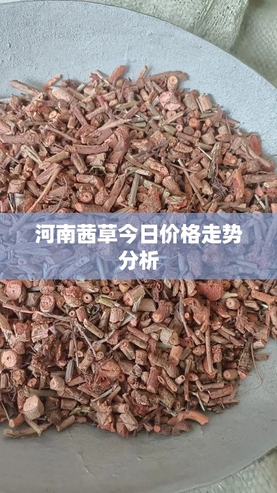 河南茜草今日价格走势分析