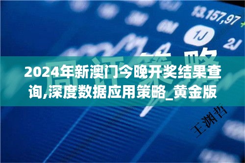 2024年新澳门今晚开奖结果查询,深度数据应用策略_黄金版19.313