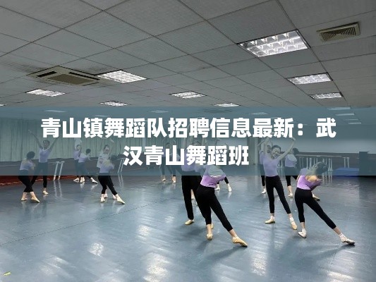 青山镇舞蹈队招聘信息最新：武汉青山舞蹈班 