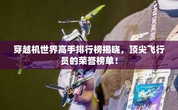 穿越机世界高手排行榜揭晓，顶尖飞行员的荣誉榜单！