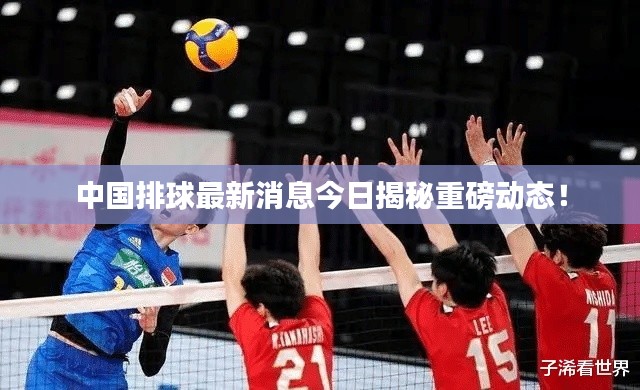 中国排球最新消息今日揭秘重磅动态！