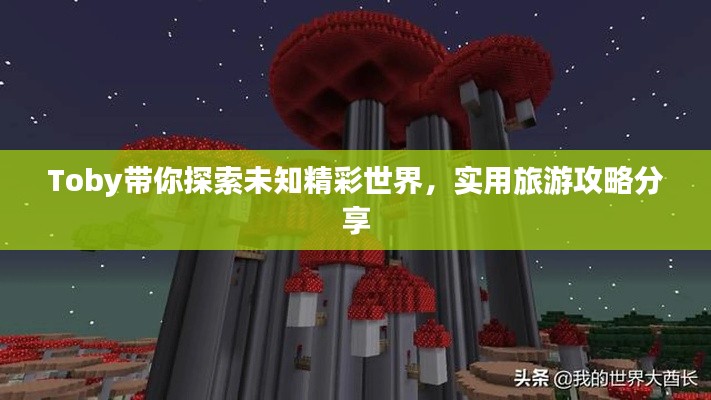 Toby带你探索未知精彩世界，实用旅游攻略分享