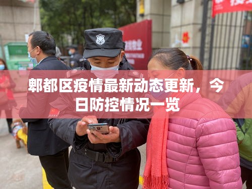 郫都区疫情最新动态更新，今日防控情况一览