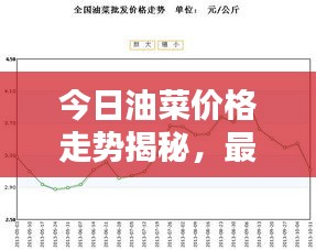 今日油菜价格走势揭秘，最新行情分析与预测