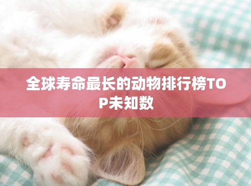 全球寿命最长的动物排行榜TOP未知数
