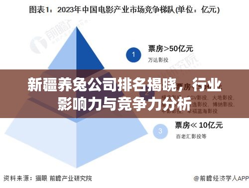 新疆养兔公司排名揭晓，行业影响力与竞争力分析