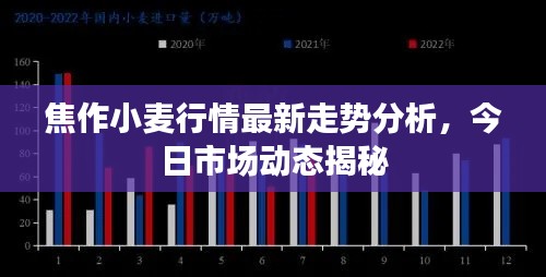 焦作小麦行情最新走势分析，今日市场动态揭秘