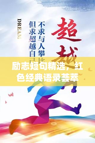 2025年5月11日