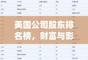 美国公司股东排名榜，财富与影响力的分布格局揭秘