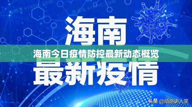 海南今日疫情防控最新动态概览