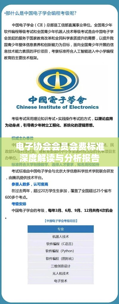 电子协会会员会费标准深度解读与分析报告