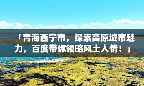 「青海西宁市，探索高原城市魅力，百度带你领略风土人情！」