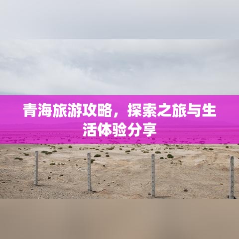 青海旅游攻略，探索之旅与生活体验分享