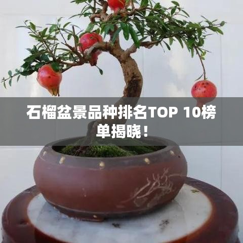 2025年5月18日