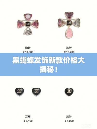 黑蝴蝶发饰新款价格大揭秘！