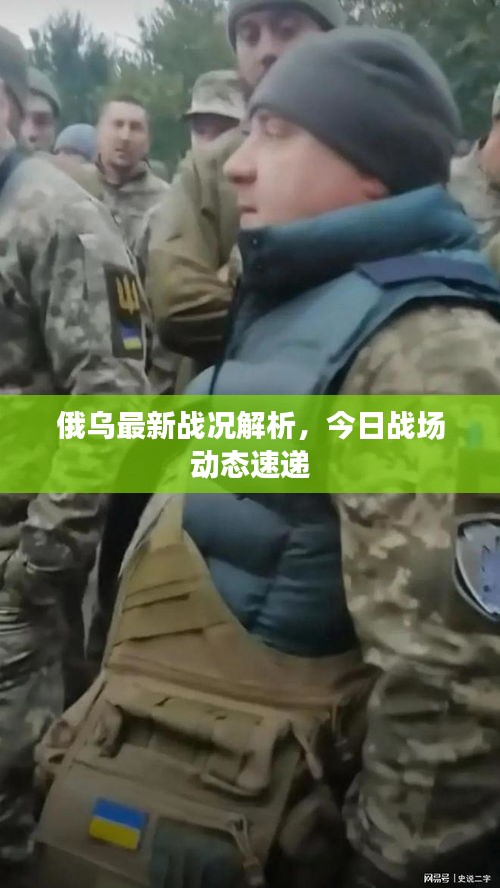 俄乌最新战况解析，今日战场动态速递