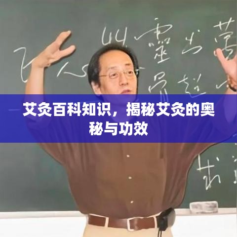 艾灸百科知识，揭秘艾灸的奥秘与功效