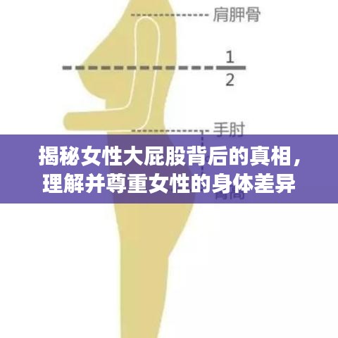 揭秘女性大屁股背后的真相，理解并尊重女性的身体差异