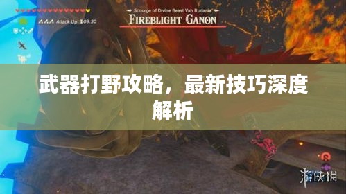 武器打野攻略，最新技巧深度解析