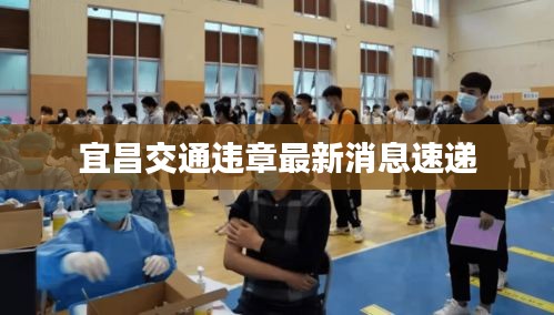 宜昌交通违章最新消息速递