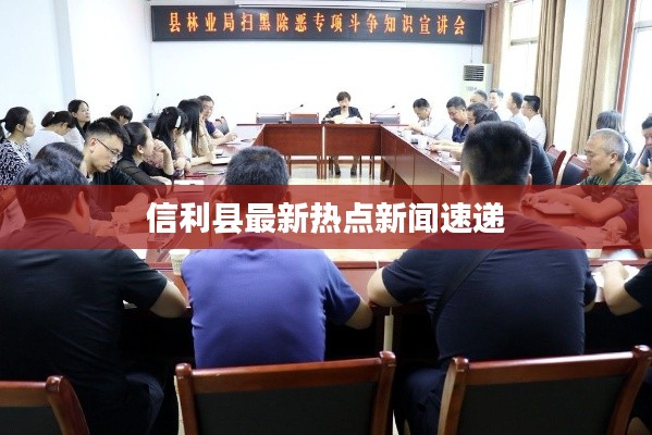 信利县最新热点新闻速递