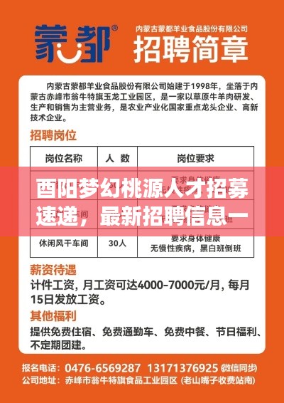 酉阳梦幻桃源人才招募速递，最新招聘信息一网打尽！