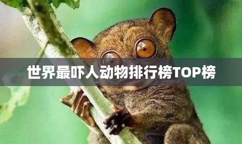 世界最吓人动物排行榜TOP榜