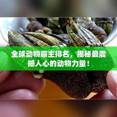全球动物霸主排名，揭秘最震撼人心的动物力量！