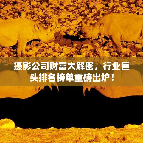 摄影公司财富大解密，行业巨头排名榜单重磅出炉！