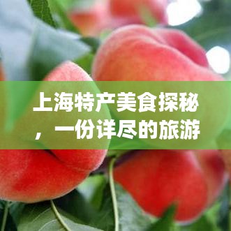 上海特产美食探秘，一份详尽的旅游攻略